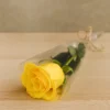 وردة صفراء مغلفة - وردة طبيعية واحدة بابتسامة مشرقة